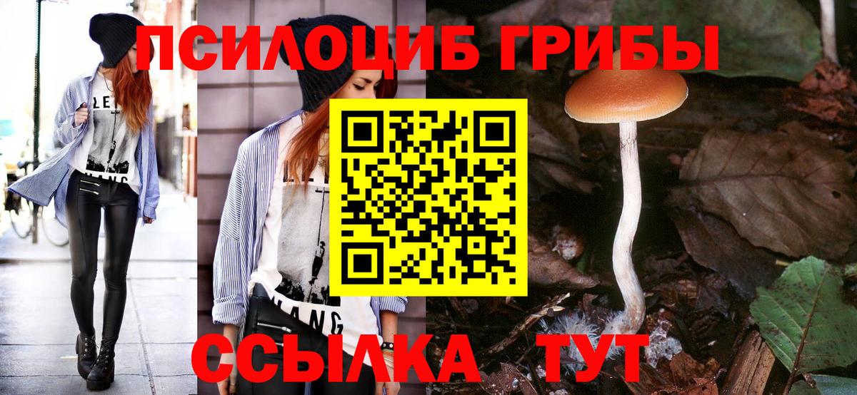 Галлюциногенные грибы мицелий Грязи