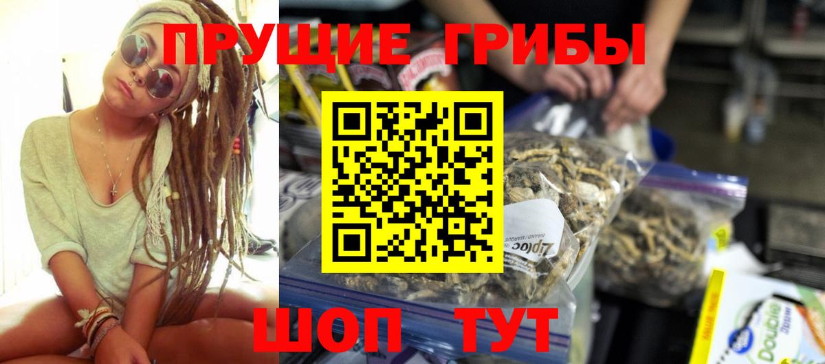 Грязи  Галлюциногенные грибы Psilocybine cubensis  Вход с VPN 